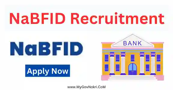 NaBFID Recruitment 2023 Notification